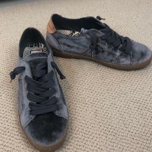 Dolce Vita velvet blue sneakers